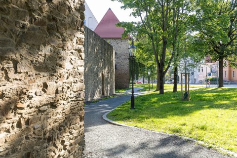 Old town wall, yellow lion tower and granary, Freiberg, Saxony, Germany, Europe