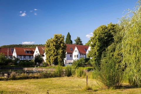 Village view of Naundorf, historic buildings with farmhouses, village green with pond, Radebeul,