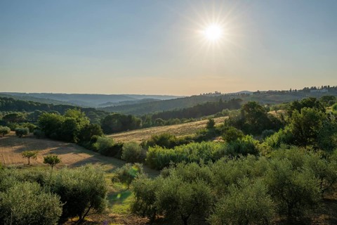 Tuscan landscape, country estate with, olive trees and forests in Chianti, Chianti Region, Tuscany,