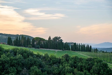 Tuscan landscape next to greve in Chianti and Montefioralle, country estate with vineyards,