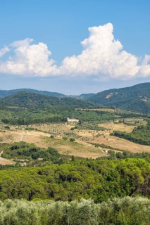 Tuscan landscape, country estate with vineyards, forests, olive trees and cypresses in Chianti,