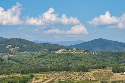 Tuscan landscape, country estate with vineyards, forests, olive trees and cypresses in Chianti,