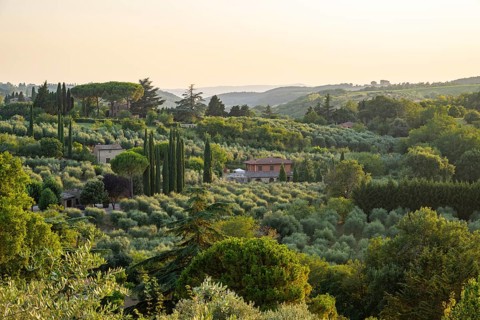 Hilly landscape in Tuscany, view from the upper city wall of Montepulciano, Tuscany, Italy, Europe