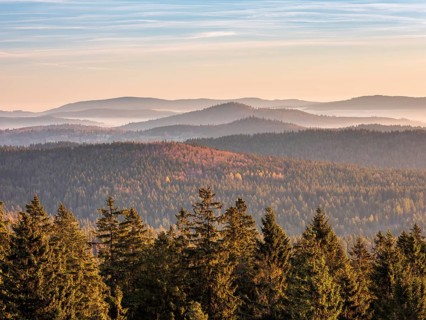 View from the summit of the Haidel over hilly landscape, endless forests in the morning light in