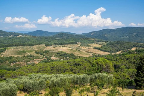 Tuscan landscape, country estate with vineyards, forests, olive trees and cypresses in Chianti,