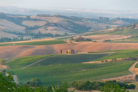 Hilly landscape in Tuscany, view from the upper city wall of Montepulciano, Tuscany, Italy, Europe