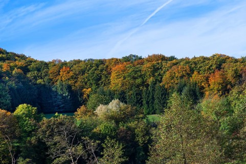 Mixed forest in autumn colours, Egloffstein, Upper Franconia, Bavaria, Germany, Europe