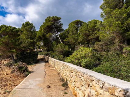 Landscape and coastal area in the north of Majorca, Cala Rajada, Balearic Islands, . Spain