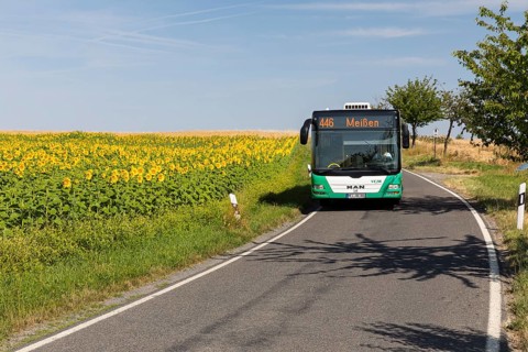 VGM bus line 446 from Riesa to Meißen between sunflower fields near Hirschstein, Saxony, Germany,