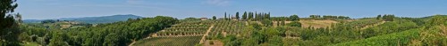 Tuscan landscape, country estate with vineyards, forests, olive trees and cypresses in Chianti,