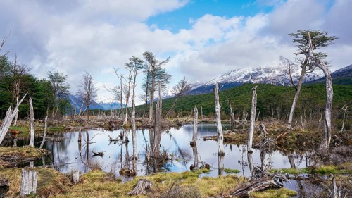 Laguna Esmeralda, Provinz Tierra del Fuego, Argentina, South America