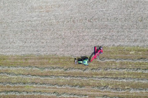 Aerial view of a tractor with rake raking hay, Dresden, Saxony, Germany, Europe