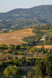 Tuscan landscape, country estate with vineyards, forests, olive trees and cypresses in Chianti,