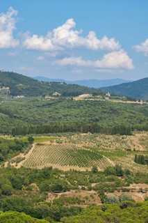 Tuscan landscape, country estate with vineyards, forests, olive trees and cypresses in Chianti,