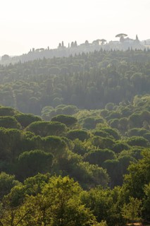Tuscan landscape, country estate with, pine forests and cypress trees in Chianti, Chianti Region,