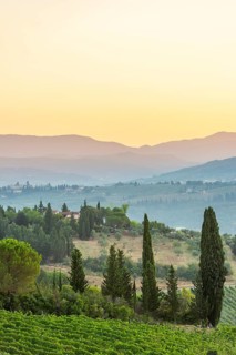 Tuscan landscape at sunrise, country estate with a farm house, vineyards, forests, olive trees and