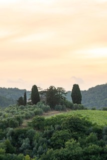 Tuscan landscape next to greve in Chianti and Montefioralle, country estate with vineyards,