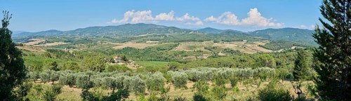Tuscan landscape, country estate with vineyards, forests, olive trees and cypresses in Chianti,