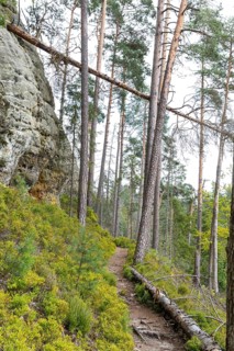Hiking trail in the Kirnitzschklamm gorge, Sebnitz, Saxon Switzerland, Saxony, Germany, Europe