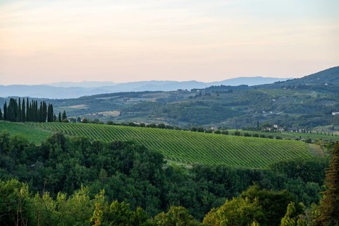 Tuscan landscape next to greve in Chianti and Montefioralle, country estate with vineyards,