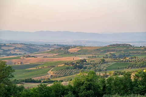 Hilly landscape in Tuscany, view from the upper city wall of Montepulciano, Tuscany, Italy, Europe
