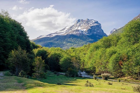 Tierra del Fuego National Park, National Route 3, Ushuaia, Tierra del Fuego Province, Argentina,