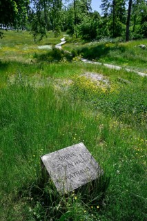 Memorial stone on the site of the destroyed village of Fleury-devant-Douaumont, Verdun battlefield,