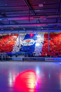 Mosaic of coloured posters forms a team logo in an ice rink, Heilbronner Falken Vs Bietigheimer