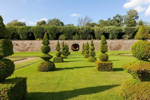 Boxwood cut into shapes in the baroque garden of Hundisburg Castle, Haldensleben, Saxony-Anhalt,