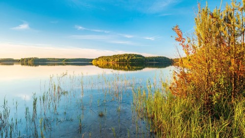 Lake Fürstensee with reeds in the evening light, Müritz National Park, Fürstensee,