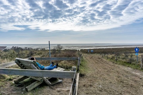 The East Frisian North Sea island of Juist in winter, marsh meadows in the west of the island,