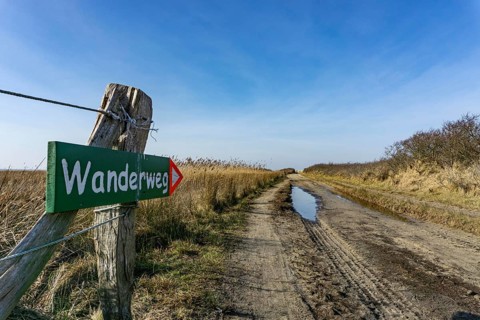 The East Frisian North Sea island of Juist in winter, marsh meadows in the west of the island,