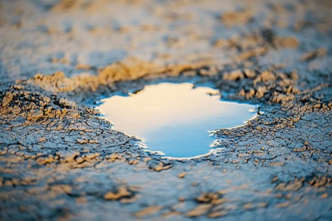 Close up of small water puddle in dry desert ground. Drough concept. Generative AI, AI generated