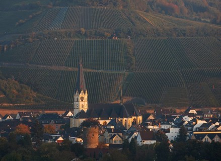 View from the south from the vineyards, St., Sankt, Saint