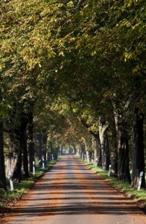Krefeld, Hökendyk between Kliedbruchstraße and Mörser Straße