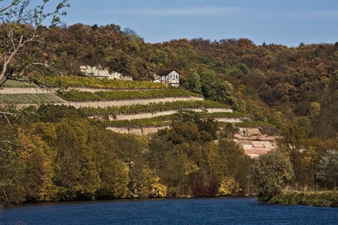 Vineyards on the Saale