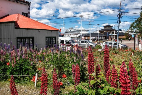 City centre with harbour view, Ushuaia, Argentina, South America