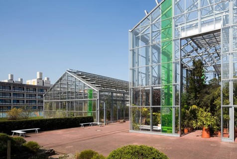 Botanical Garden, greenhouse, behind it Institute of Pharmacy and Chemistry