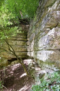 Medieval Kapfelberg quarry, Teugn, stones were quarried here in the Middle Ages for building the