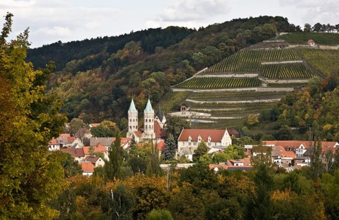 Town and town church, behind it the historic Edelacker vineyard, St., Sankt, Saint