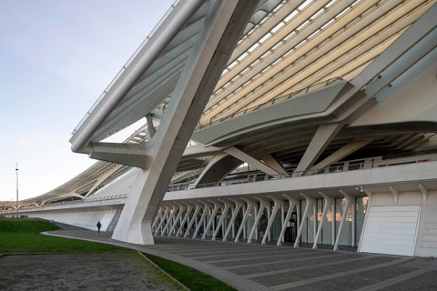 Liège, Liège-Guillemins railway station, design 2009 Santiago Calatrava, concrete pillars and