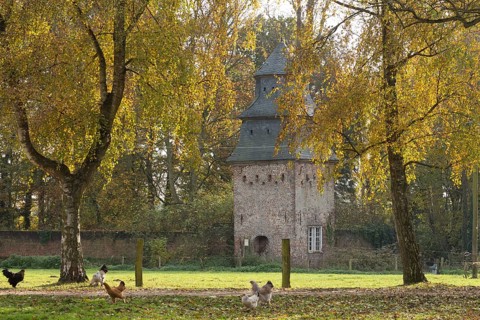 Pigeon tower from the 18th century with chickens