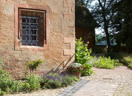 Herb garden between Abthaus and Infirmerie