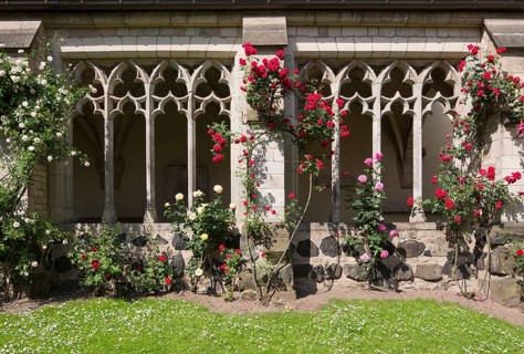 Cloister with roses, St., Saint, Saint
