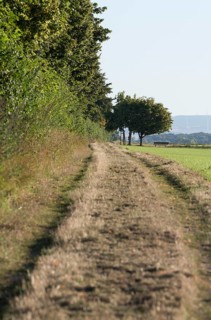 Erftstadt, Römerstraße near Friesheim