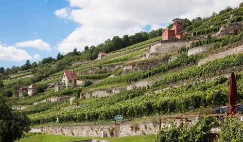 Freyburg Unstrut vineyard houses. Construction period 18-20 c. Schweigenberg vineyard