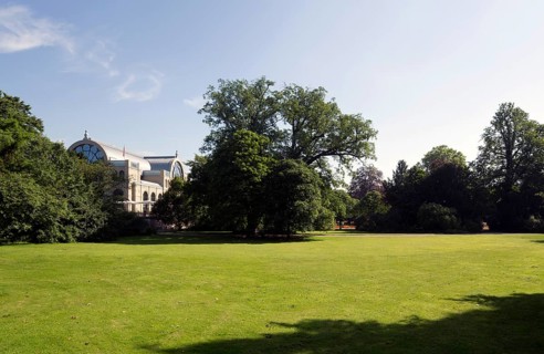 English lot, in the background the Festhaus