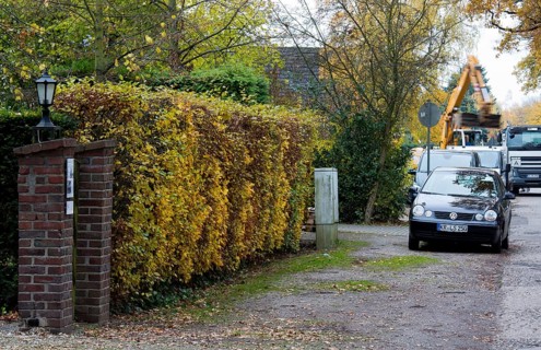 Krefeld, Kliedbruchstraße 67, Tor tor with old beech hedge in front of clearing in 2012