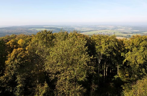 View from the tower of St Michael's Chapel