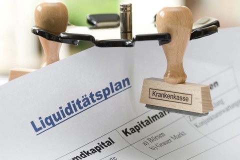Liquidity planning of a self-employed person, stamp, health insurance, financial planning, cost